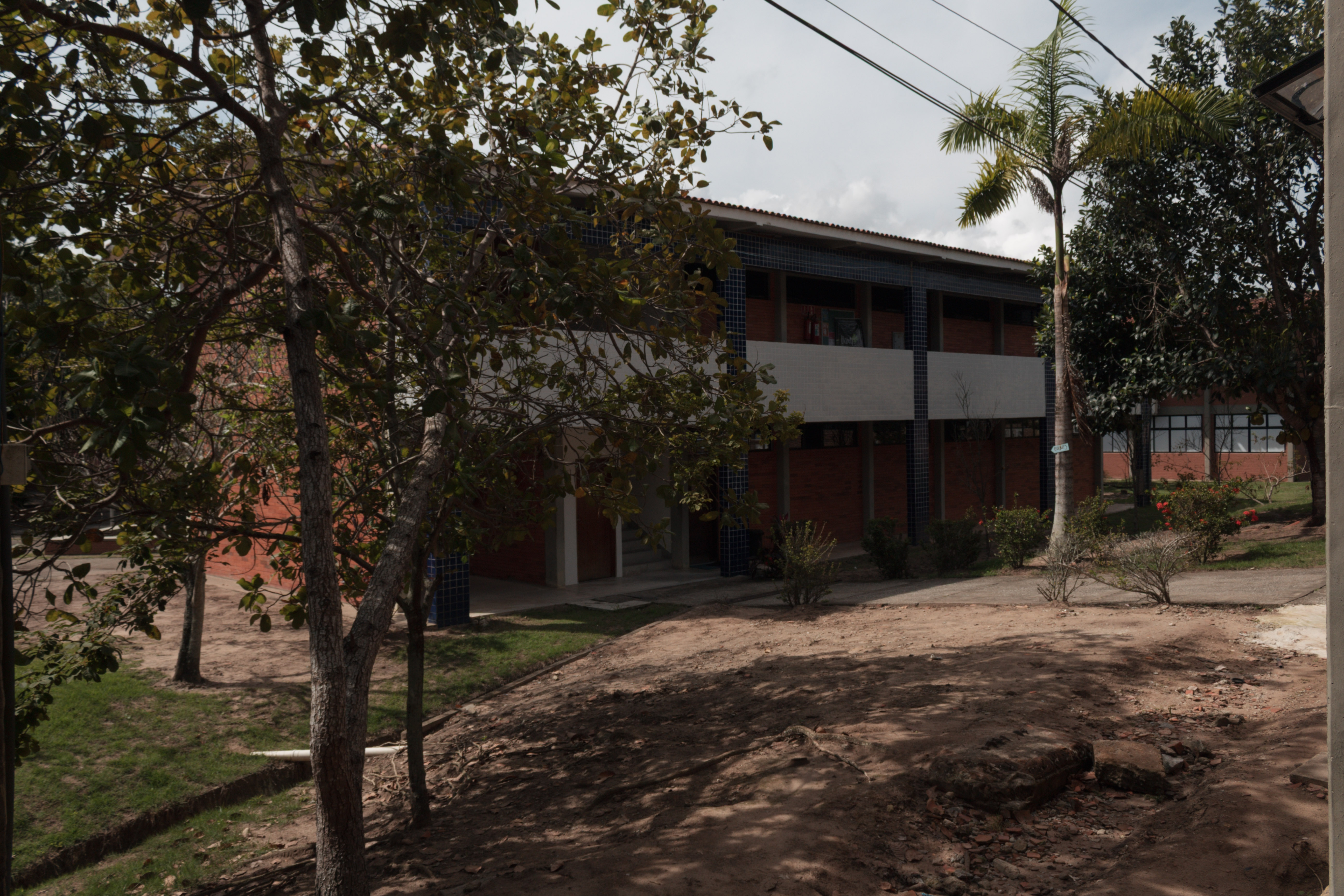 Prédio de salas de aula de dois andares visto entre árvores em sombra intensa