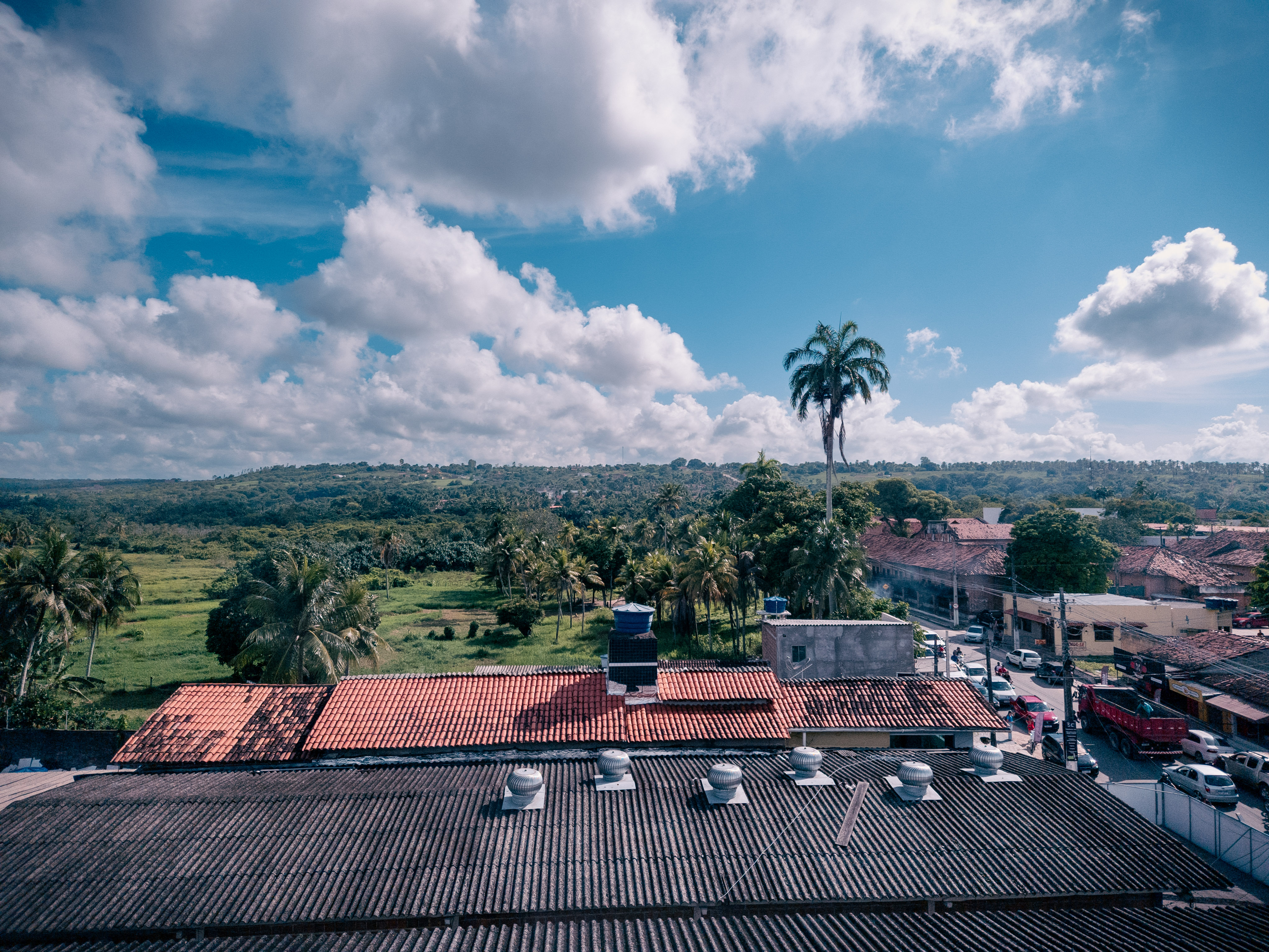 Rooftop view of Rio Tinto with royal palms rising above the houses