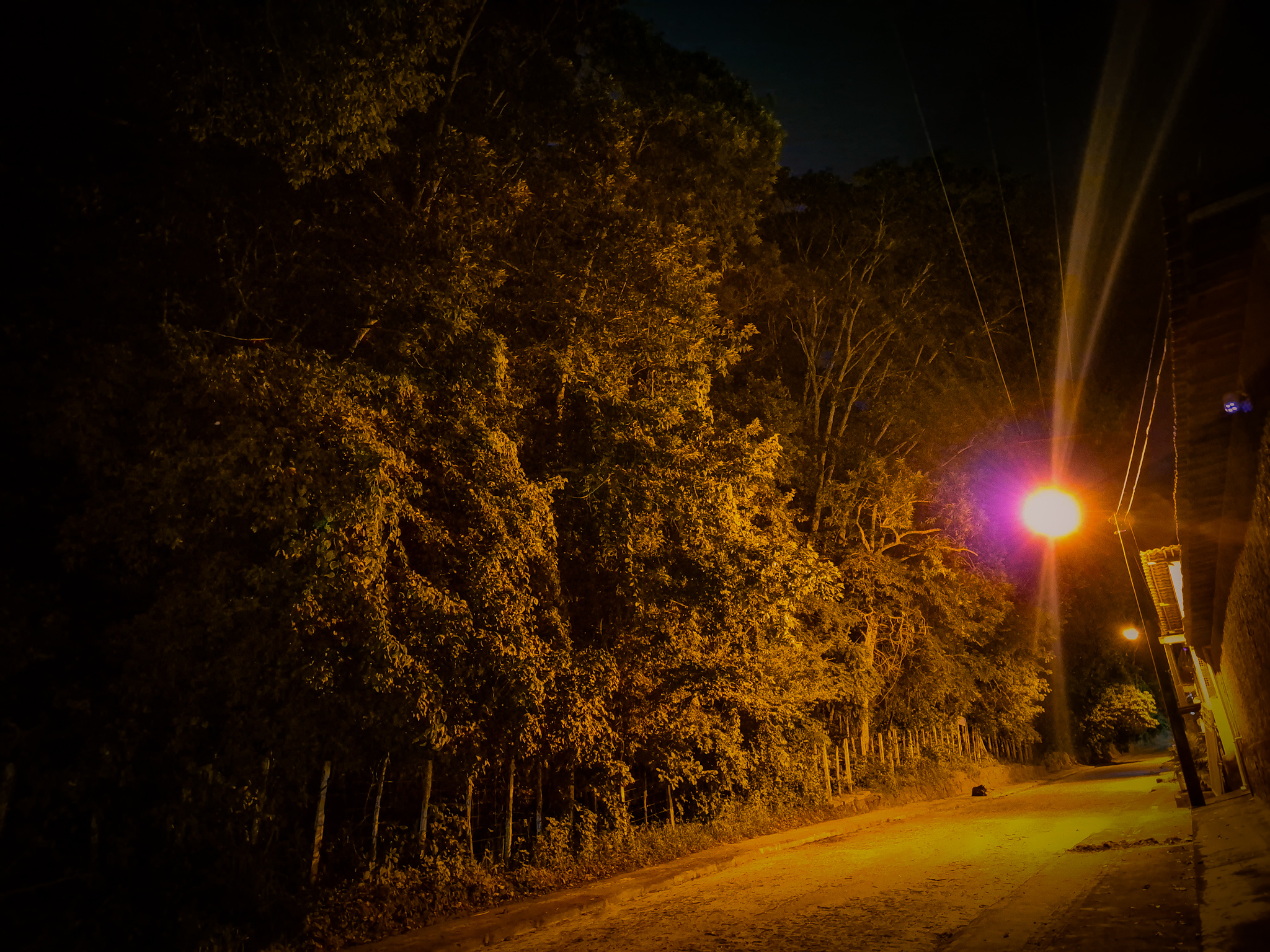 Empty street at night lit by a glowing streetlamp